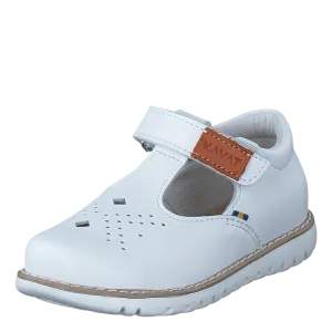 Alva XC White