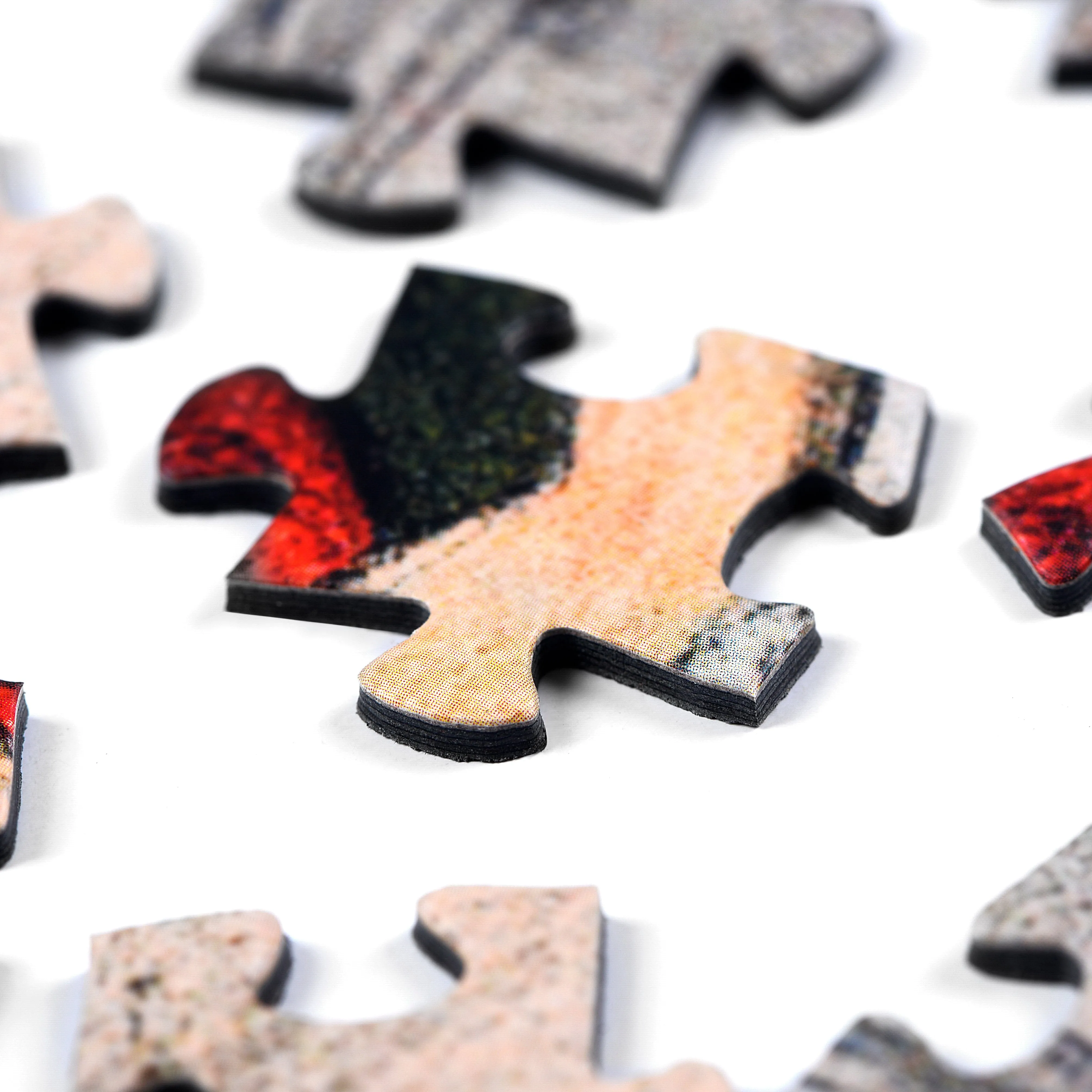 BIKE RACE | 1,000 Piece Jigsaw Puzzle