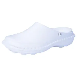 DBL Clog