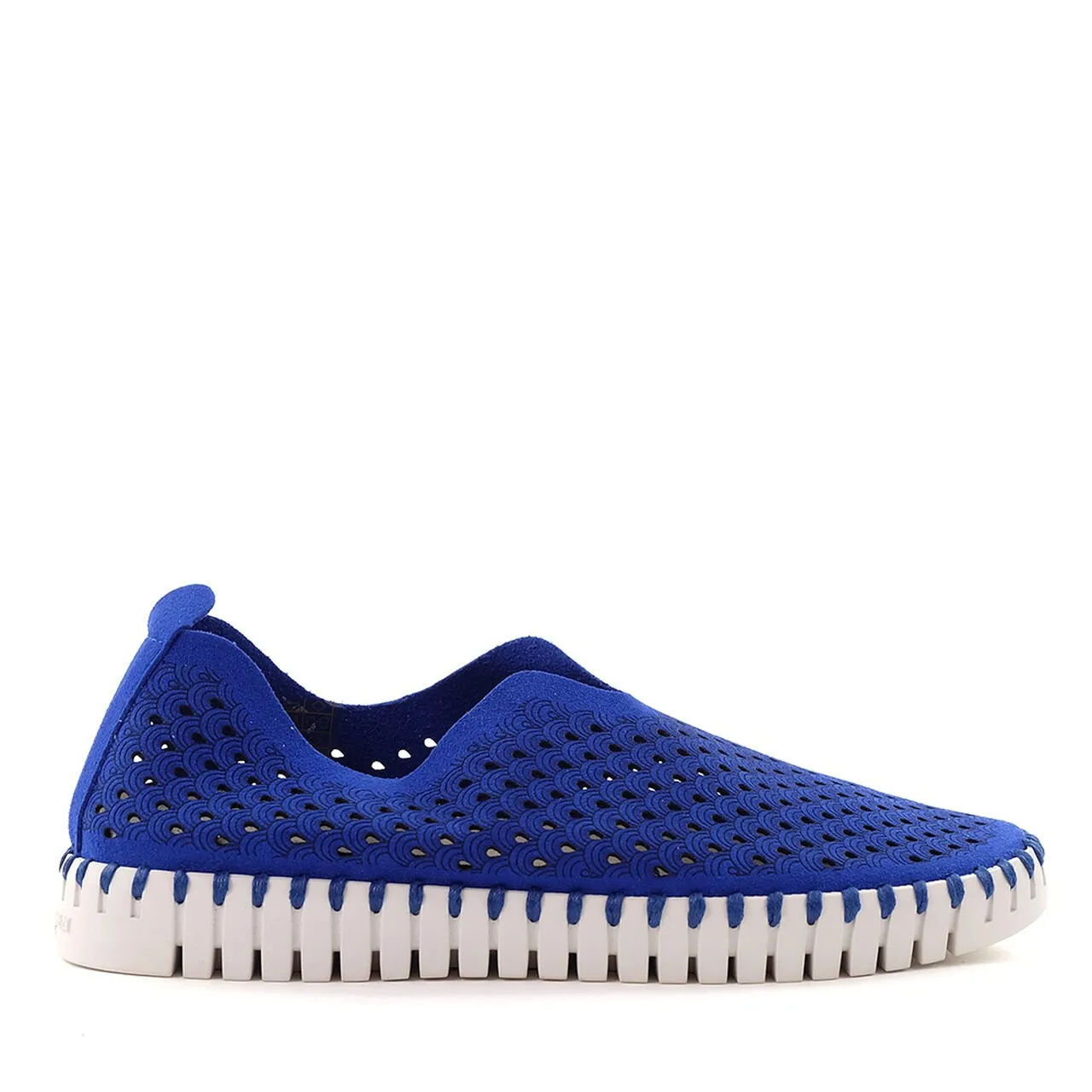 Tulip Slip On - Blue Web
