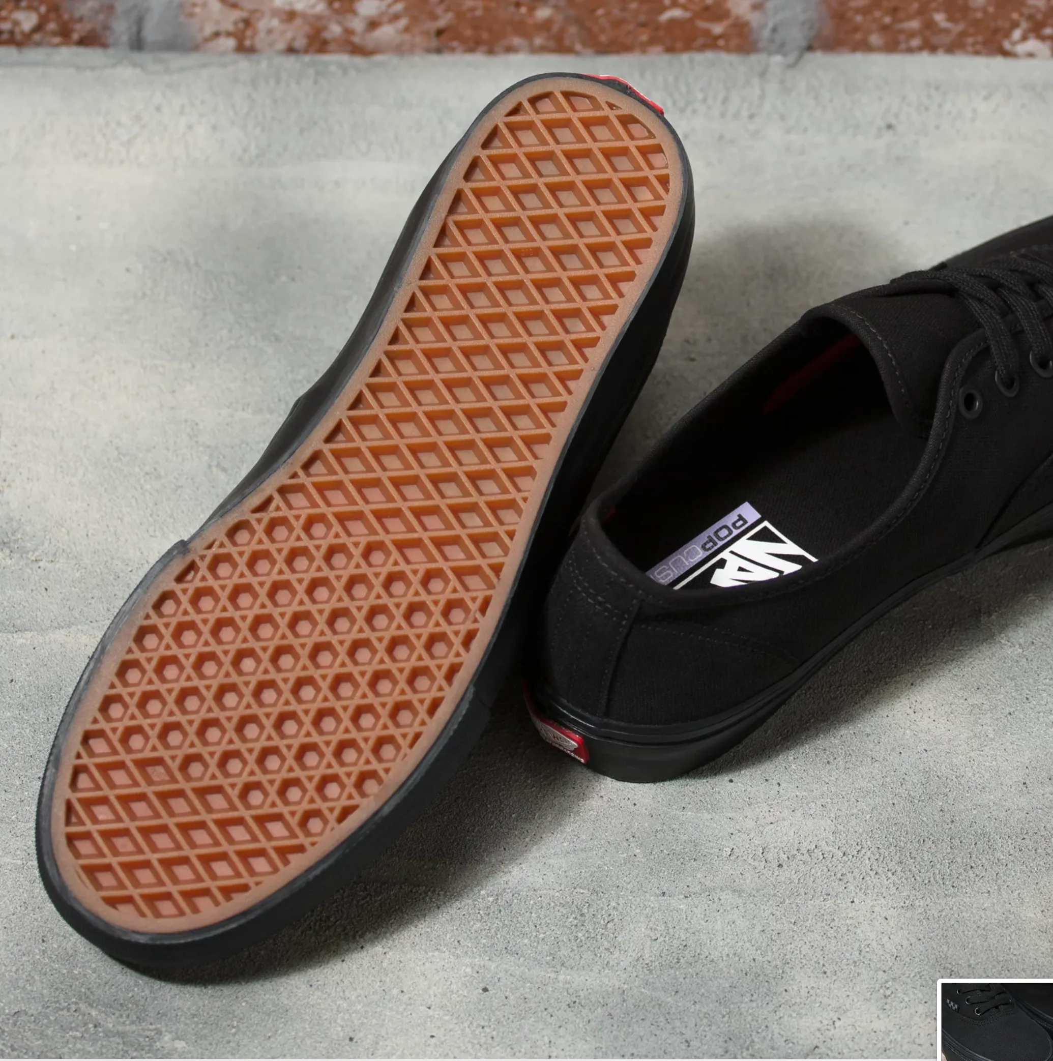 VANS SKATE AUTHENTIC BLACK / BLACK