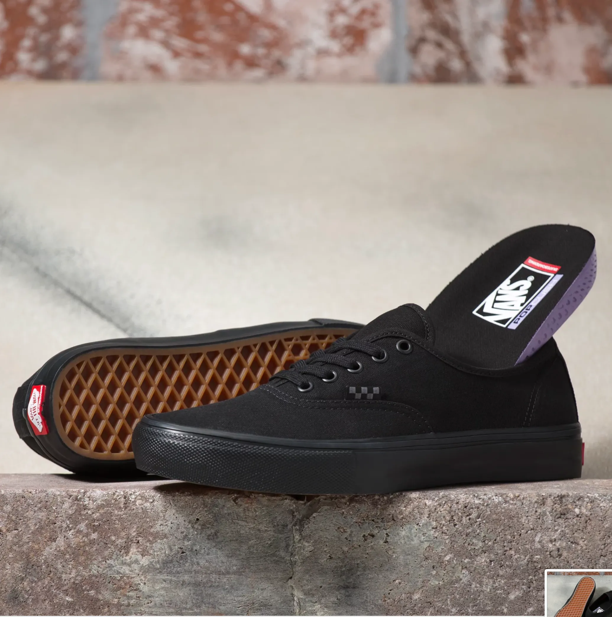 VANS SKATE AUTHENTIC BLACK / BLACK